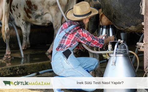 inek ağız sütü nasıl yapılır